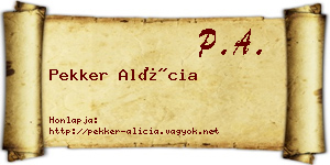 Pekker Alícia névjegykártya